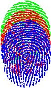 Fingerprints image